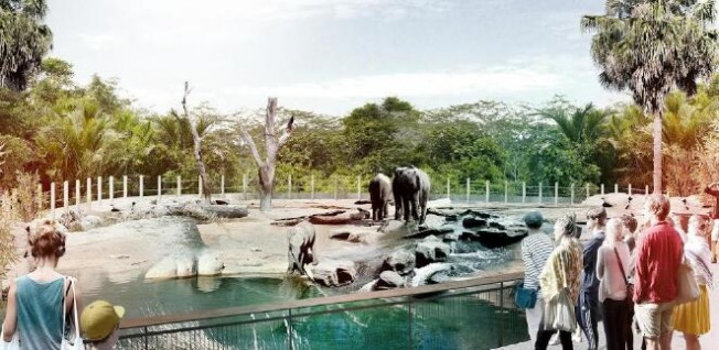 悉尼新动物园规划获批 耗资$3600万一年完工